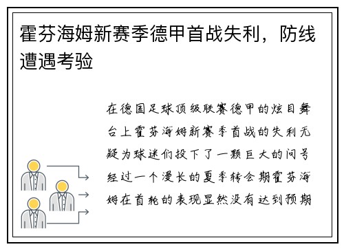 霍芬海姆新赛季德甲首战失利，防线遭遇考验